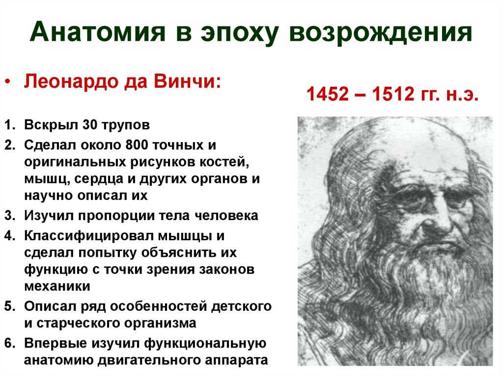 Эпоха возрождения