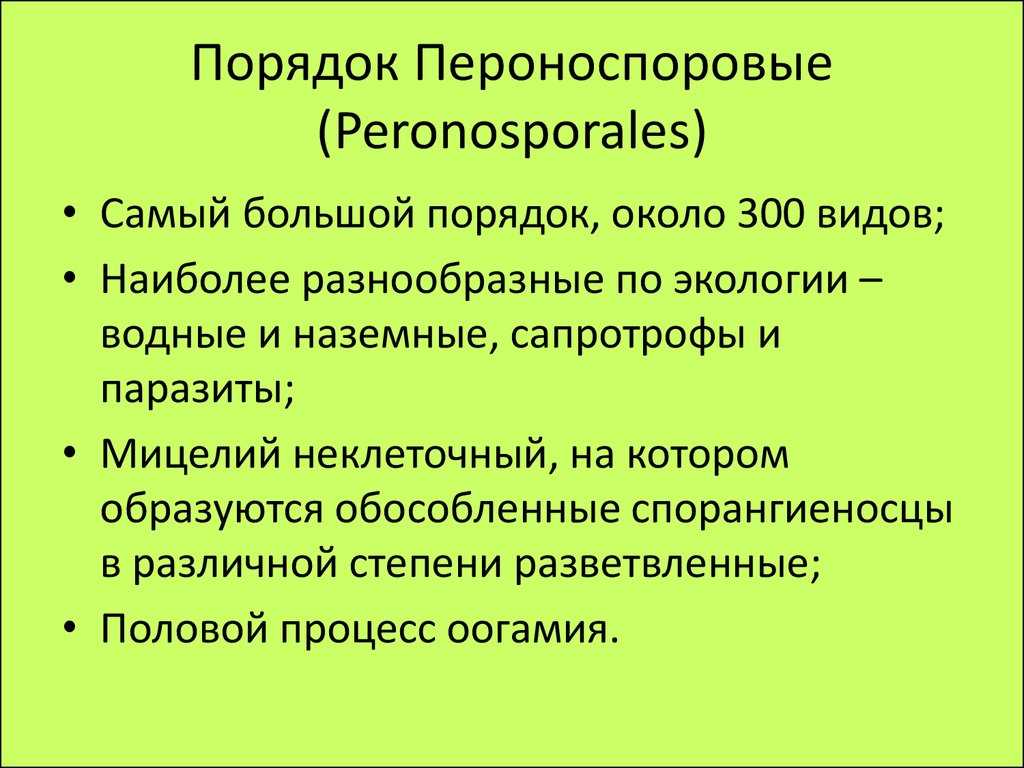 Пероноспоровые грибы (peronosporales) звенигородской биологической станции им. с. н. скадовского (mocковская область)