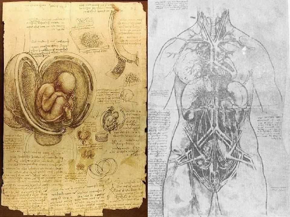 Достижения эпохи возрождения кратко. наука, искусство, философия. таблица, 7 класс.