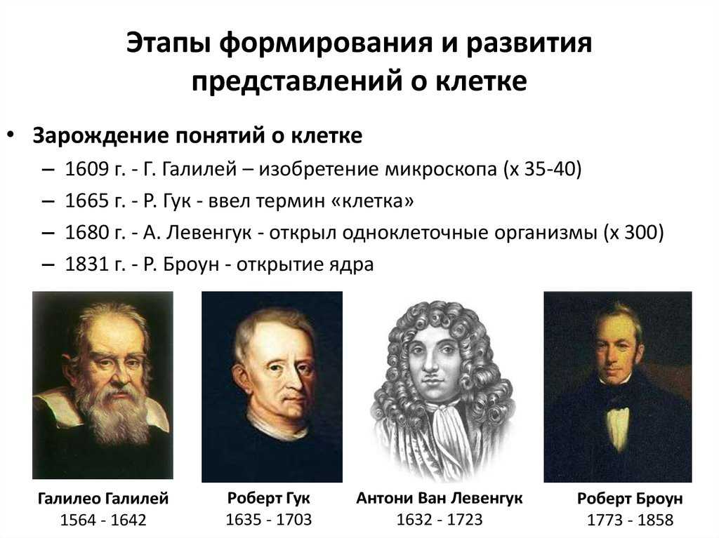 Эпоха возрождения