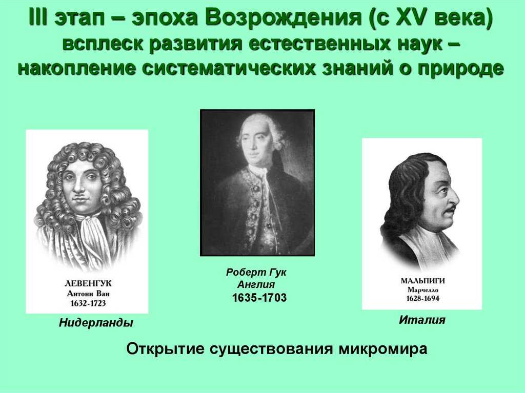 Французское возрождение (xvi - xvii в.в.).  история франции
