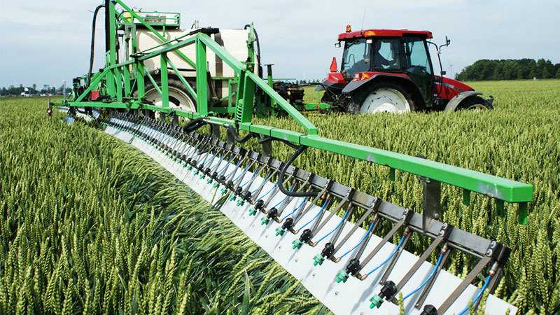 Какой фунгицид применяют для предпосевной обработки семян зерновых?