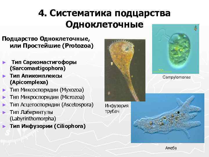 Типы старения кожи лица, виды старения.