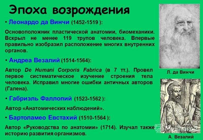 Медицина средневековой западной европы (v–xvii вв.) | контент-платформа pandia.ru