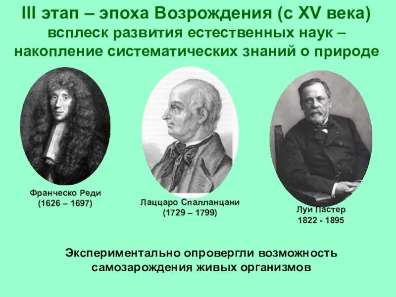 Культура европы в конце xv-первой половине xvii века - культура возрождения
