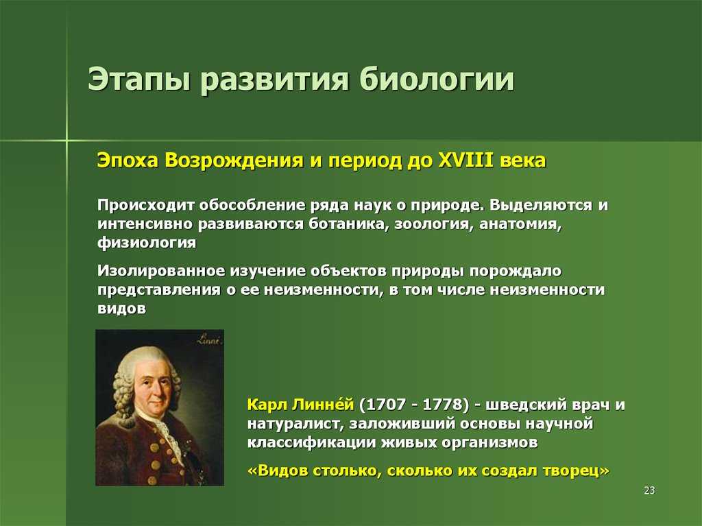 Эпоха возрождения: что это такое и наука с культурой эпохи возрождения