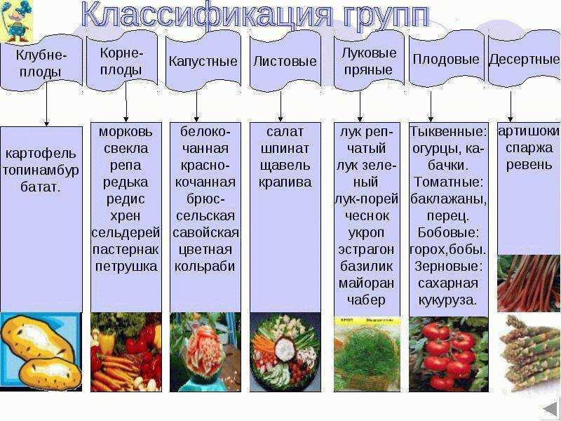 Лучшие сорта арбузов: фото, название и описание