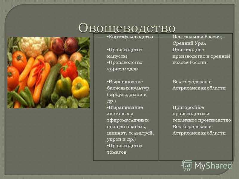 Бахчеводство