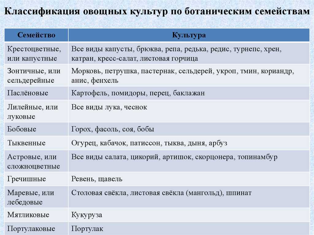 Бахчевые культуры