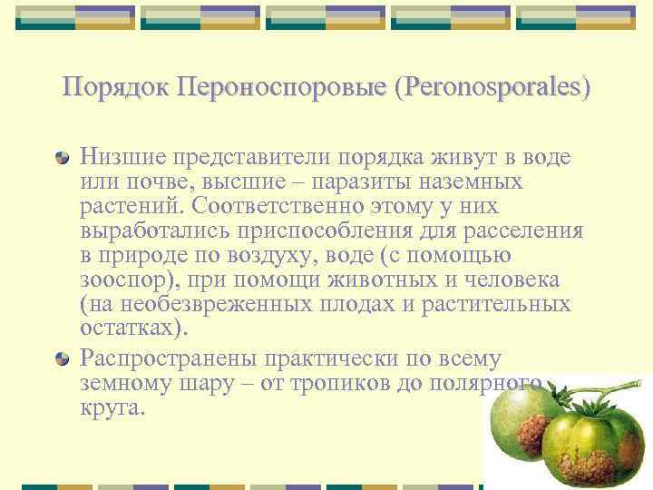 Пероноспоровые грибы (peronosporales) звенигородской биологической станции им. с. н. скадовского (mocковская область)