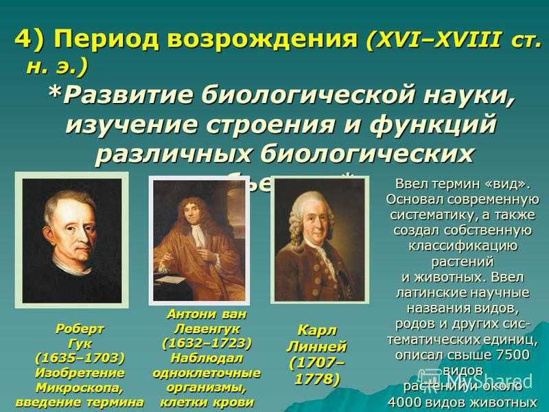Эпоха возрождения: что это, искусство, картины, культура, черты, живопись, развитие, история, деятели, особенности