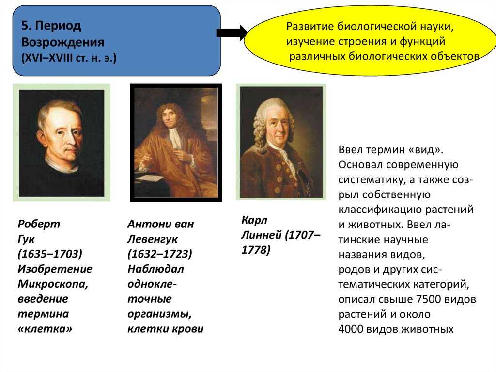 Наука и техника эпохи возрождения. ренессансные корни современной науки. реферат. история. 2014-02-20