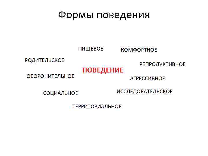 Неактивные формы поведения животных виды сна