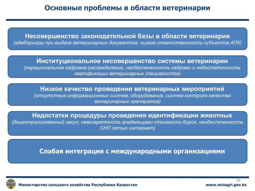 Инородные тела в пищеводе и желудке у собак: преимущества гастроскопии как диагностики и метода лечения