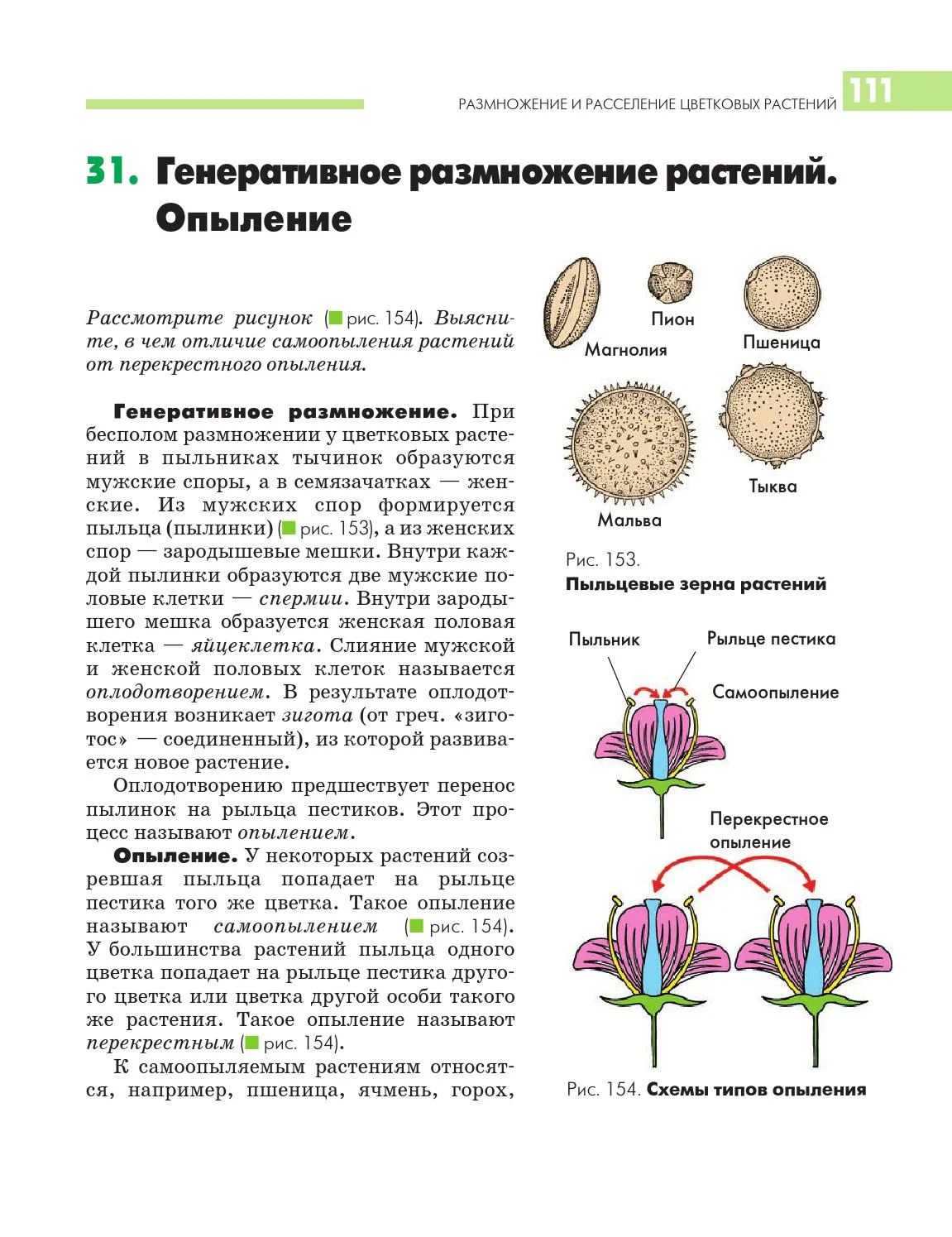 Лекция 8. плоды и семена