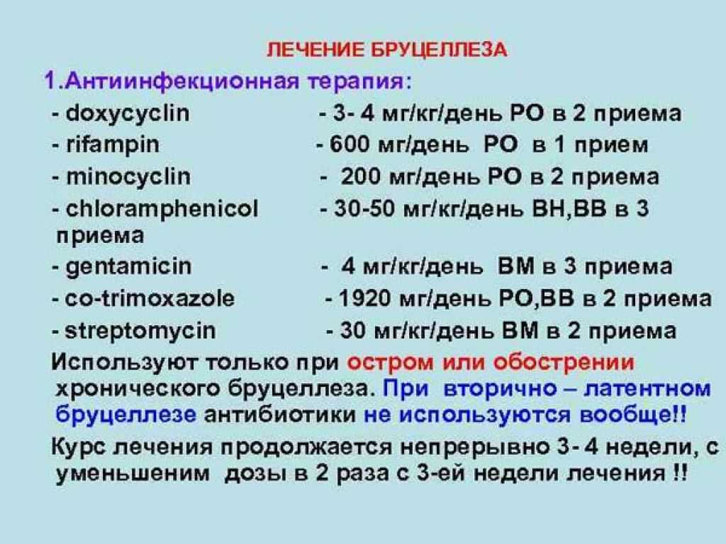 Бруцеллез — причины возникновения, как маскируется, симптомы и методы лечения