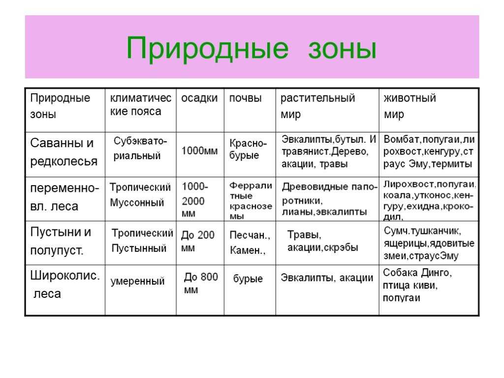 Природная зона россии тундра, план описания и харакетристика (почва, животные)