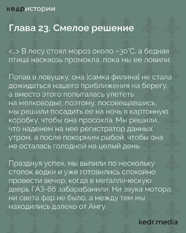 Гетерозис