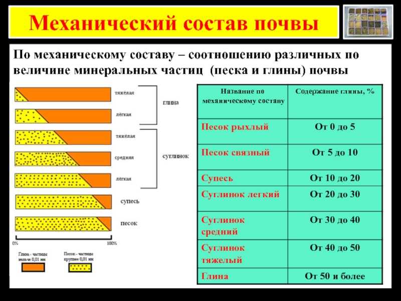 Лекция 1. основы почвоведения (стр. 6 ) | контент-платформа pandia.ru