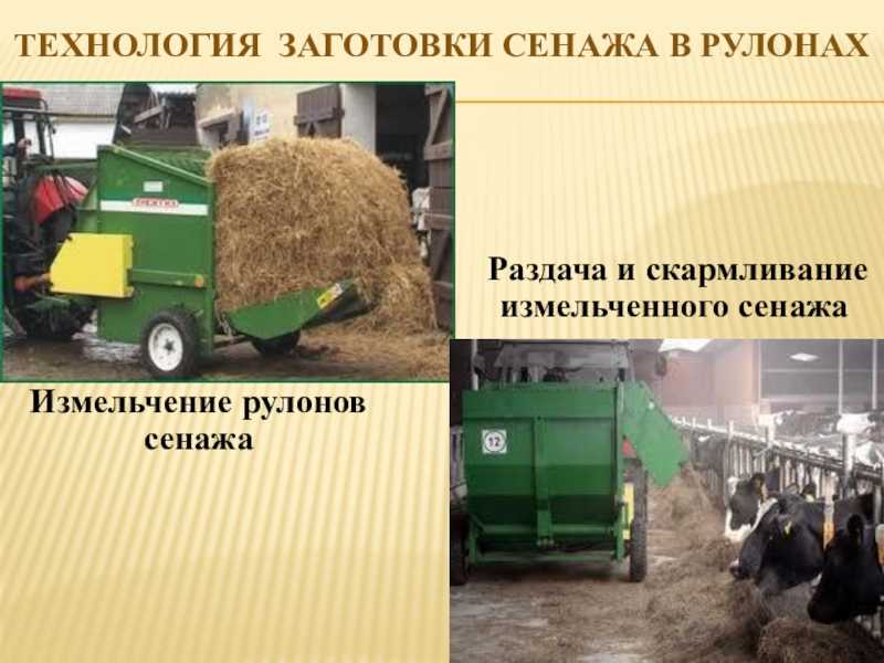 Правильная заготовка сена - технология заготовки сена