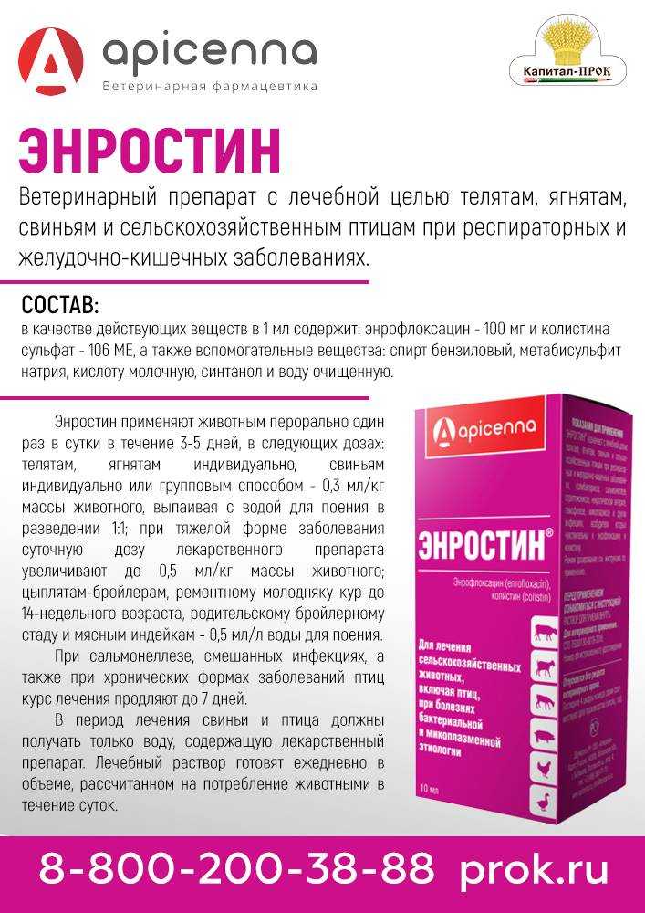 Таблица и схемы пропойки цыплят антибиотиками и витаминами