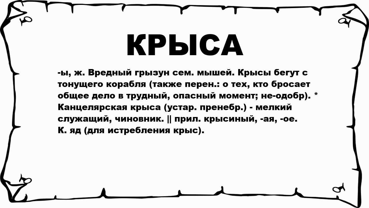 Серые крысы