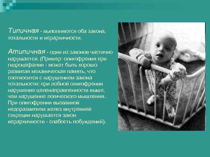 Развед, коллок 1 flashcard | flashcards-library.com