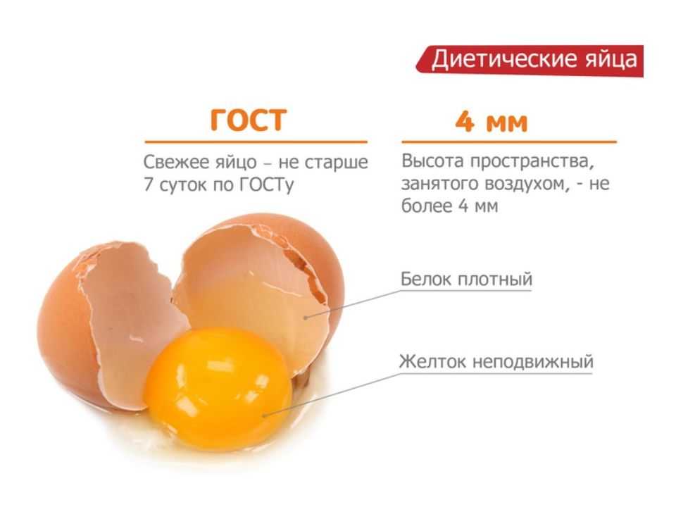 Яйцо членистоногих | справочник пестициды.ru