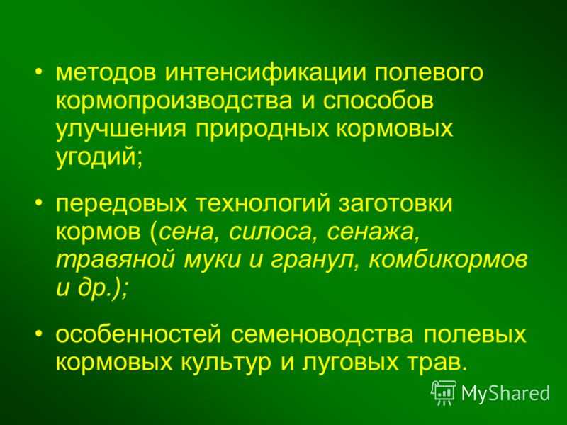Организация полевого кормопроизводства
