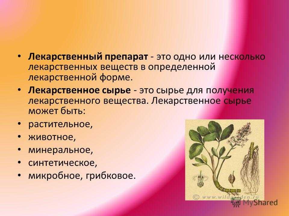 Особенности сушки сырья растительного происхождения | агро профиль плюс. сушка как бизнес. аэродинамическая сушилка аскт. порошки и чипсы из овощей и фруктов, грибов.