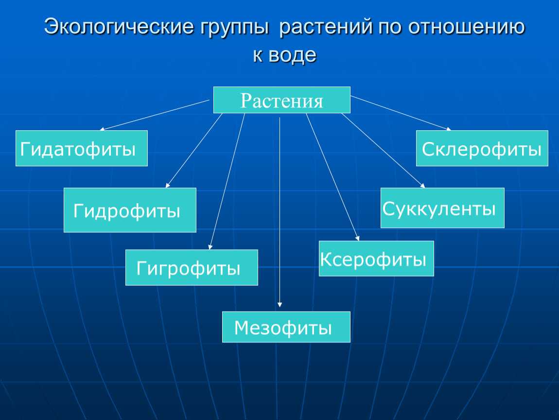 Приспособление животных к водной среде обитания кратко