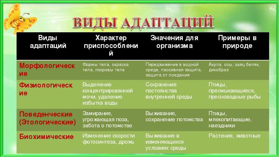 Физиологическая адаптация животных, растений и человека: определение, виды, механизмы и примеры