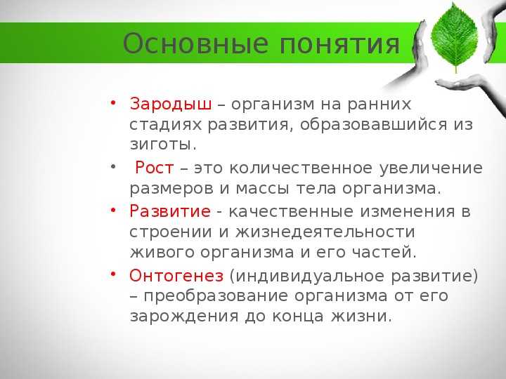 Какой метод позволяет увеличить число боковых корней?
