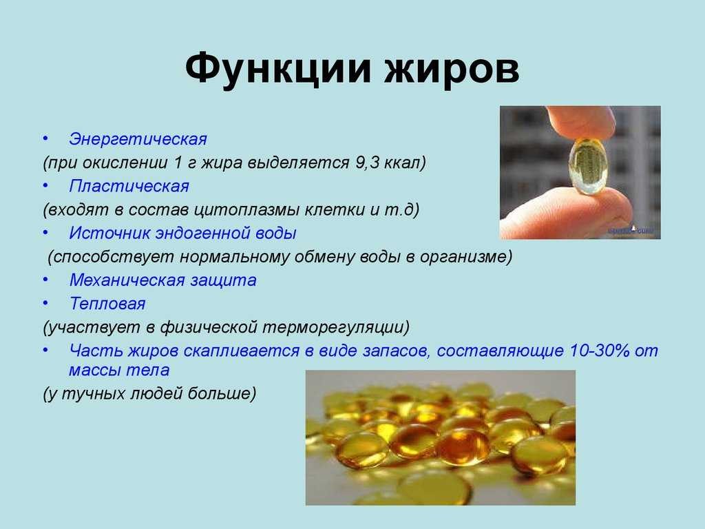 ➤➤➤ животные жиры - здоровый образ жизни