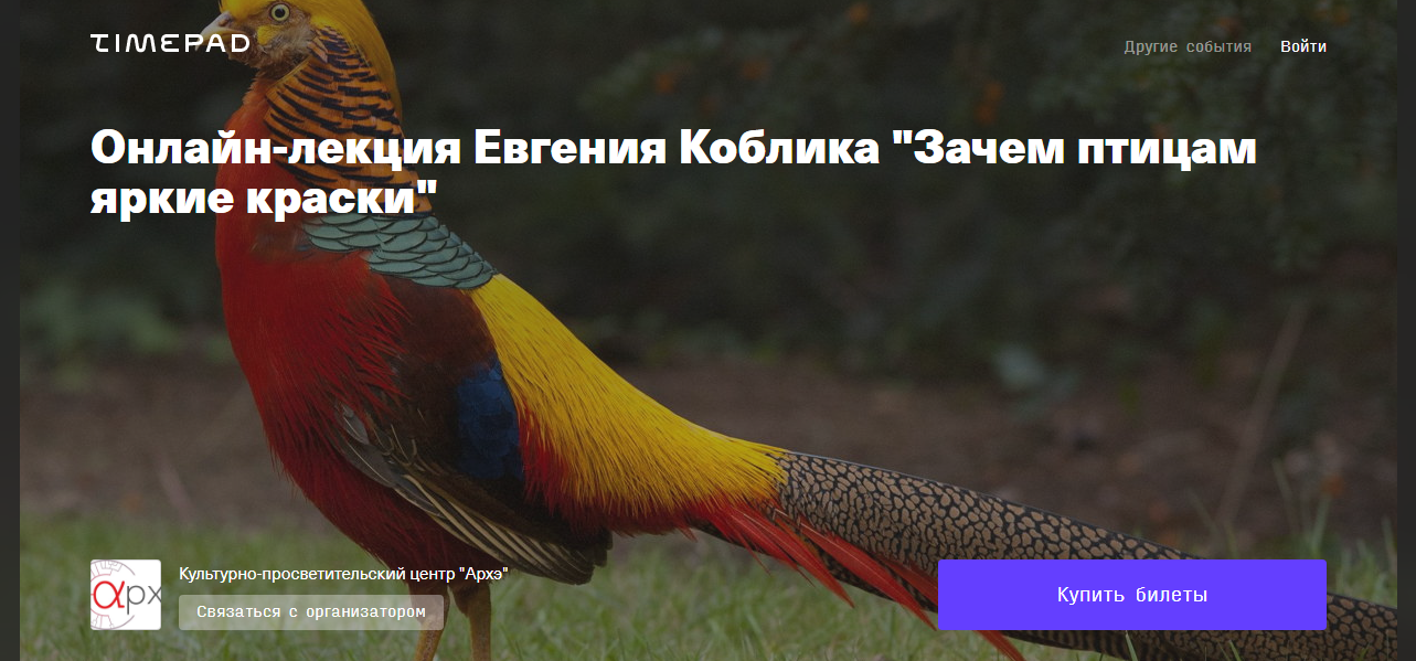 Цвет глаз у птиц: только факты