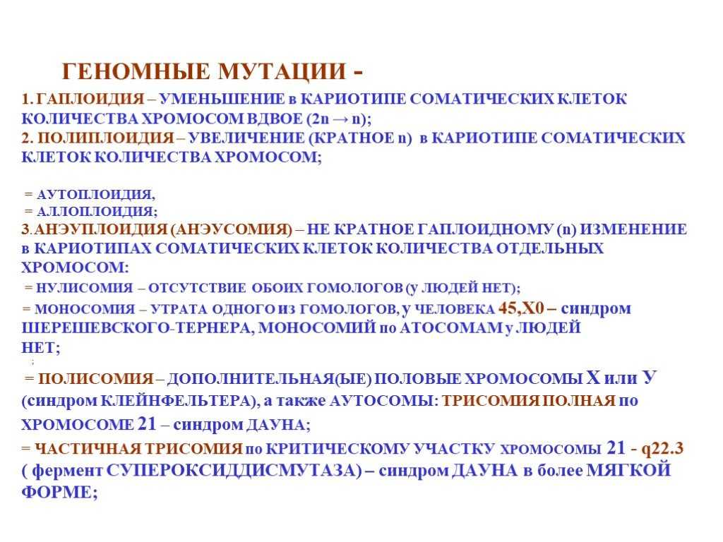 Гаплоид – определение и примеры | fissi