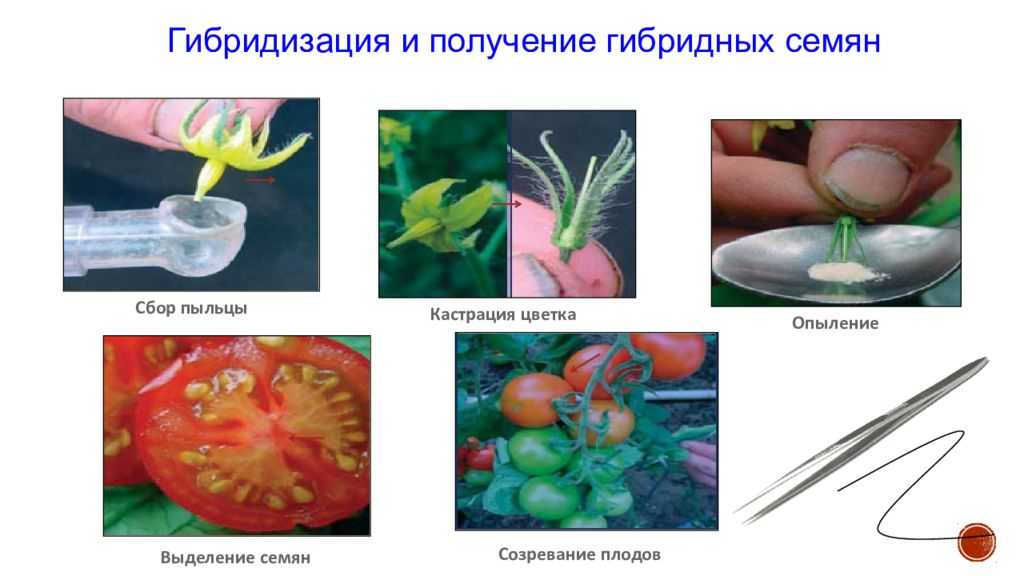 Биология