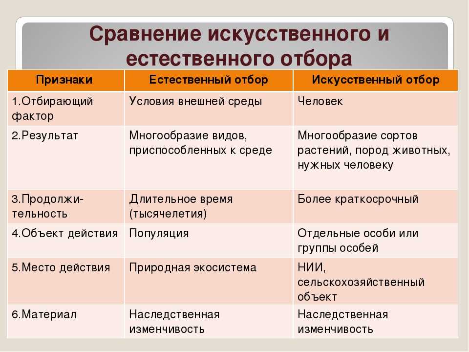 Естественный ⭐️ отбор: определение, его формы, биологическое значение и характеристики