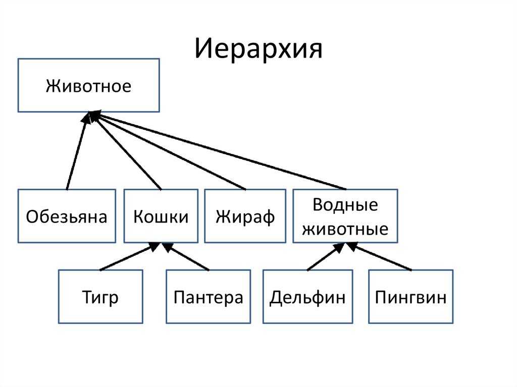 Система растений и животных отображение эволюции