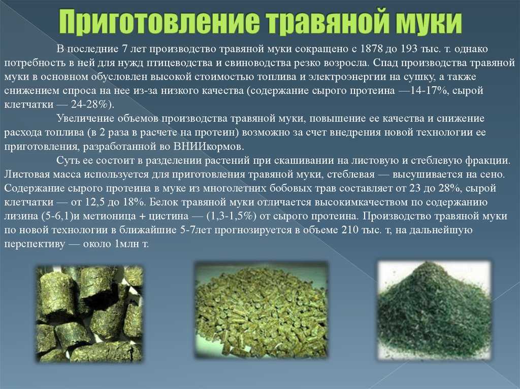 Кормопроизводство. технология приготовления витаминной травяной муки | | гау дпо яо информационно-консультационная служба апк
