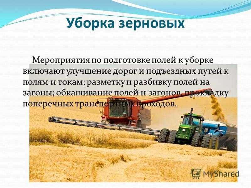 Уборка зерновых культур, техника для уборки зерна
