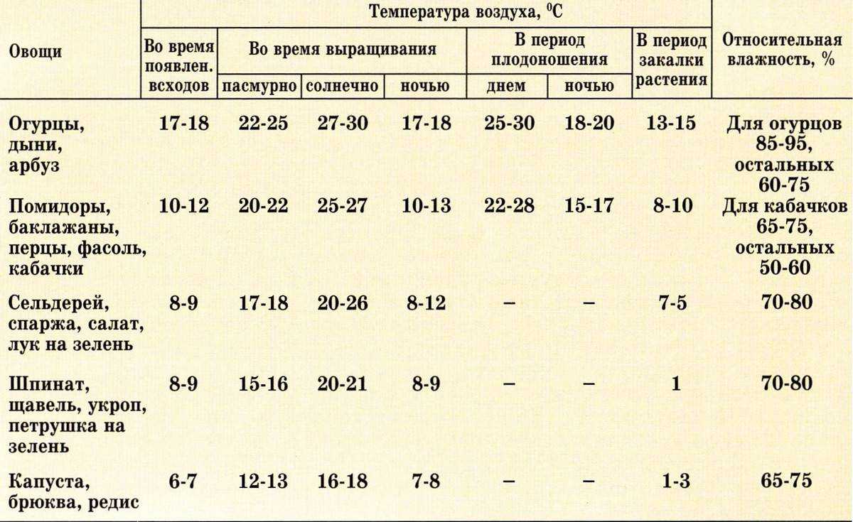 Какая температура должна быть в теплице из поликарбоната, в парнике и как регулировать