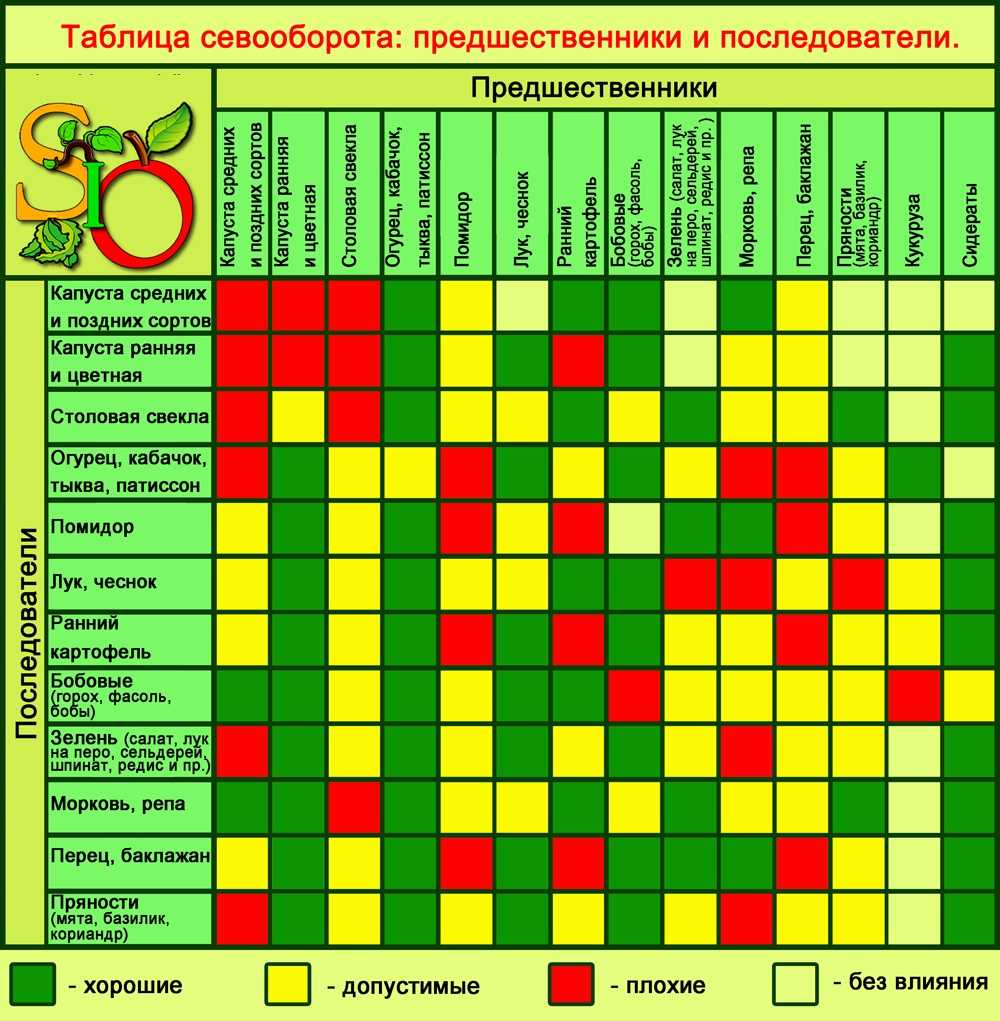 Технология выращивания гороха на зерно. норма высева гороха кг/га
