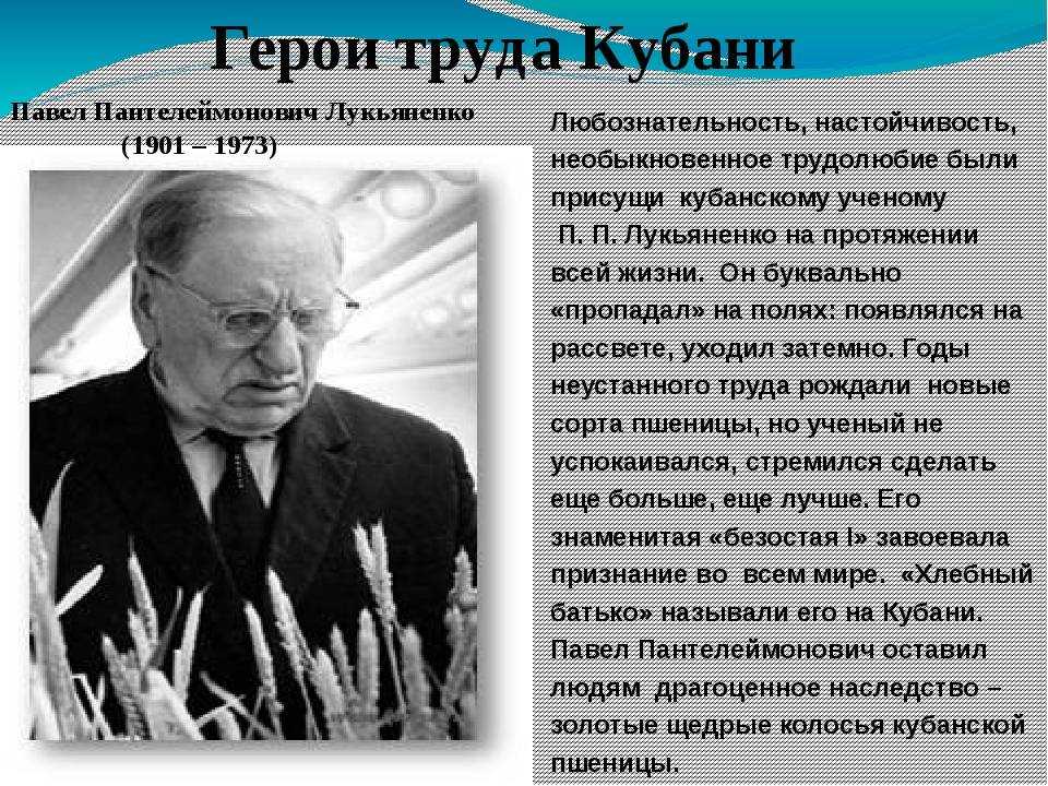 Пойменные тополевники кубани и ведение хозяйства в них  рыльцев денис михайлович