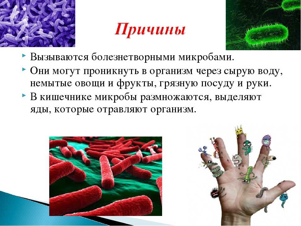 Термофилы | справочник по защите растений — агроxxi