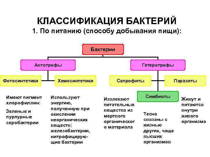 Книга медицинская микробиология: конспект лекций для вузов читать онлайн бесплатно, автор вера александровна подколзина – fictionbook