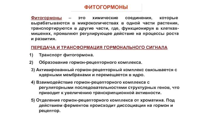 Гормон роста растений: разновидности, функции, применение. ингибиторы и стимуляторы