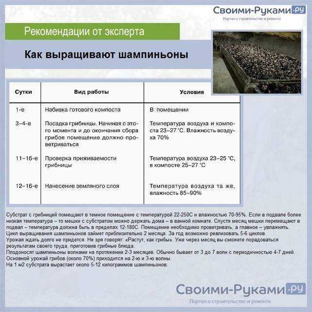 Покровная земля и ее укладка для шампиньонов