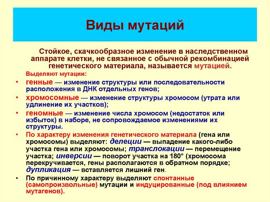 Какую роль в эволюции играют генные мутации?
