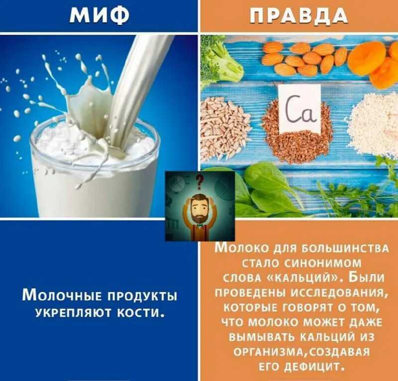 Продукты. молоко. большое 32 | аисфер